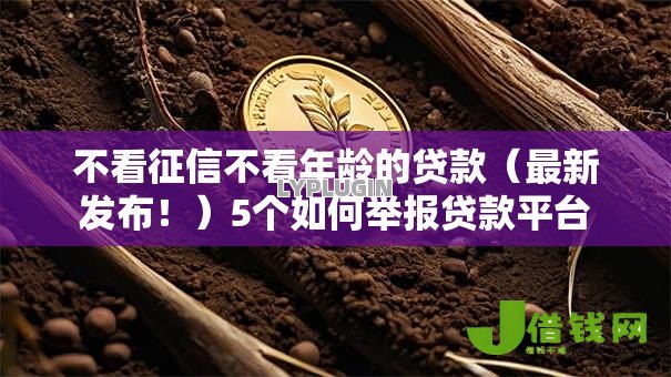 不看征信不看年龄的贷款（最新发布！）5个如何举报贷款平台