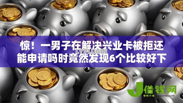 惊！一男子在解决兴业卡被拒还能申请吗时竟然发现6个比较好下款的网贷平台，事后分享了出来