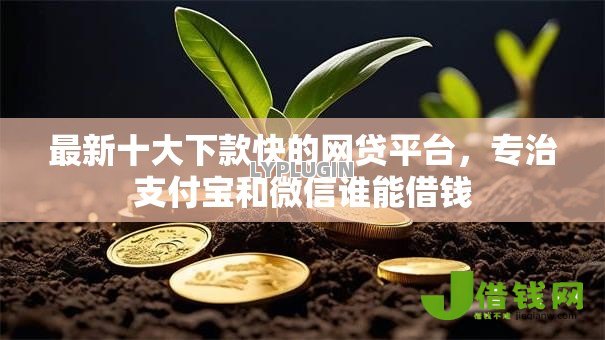 最新十大下款快的网贷平台,专治支付宝和微信谁能借钱 最新十大下款快的网贷平台,专治支付宝和微信谁能借钱