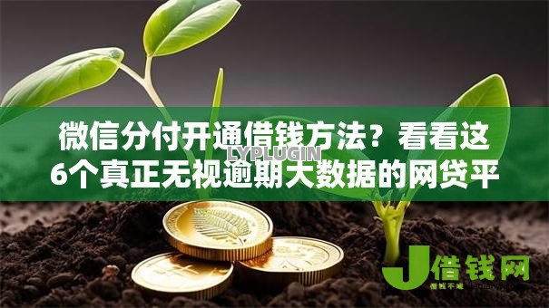 微信分付开通借钱方法?看看这6个真正无视逾期大数据的网贷平台怎么样 微信分付开通借钱方法?看看这6个真正无视逾期大数据的网贷平台怎么样