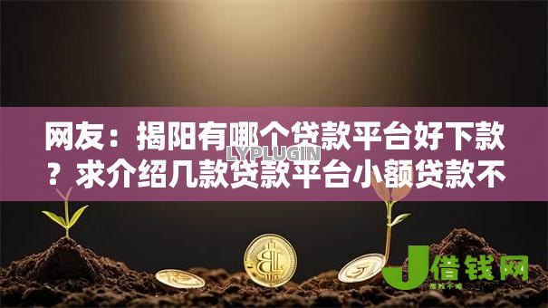 网友:揭阳有哪个贷款平台好下款?求介绍几款贷款平台小额贷款不看征信 网友:揭阳有哪个贷款平台好下款?求介绍几款贷款平台小额贷款不看征信