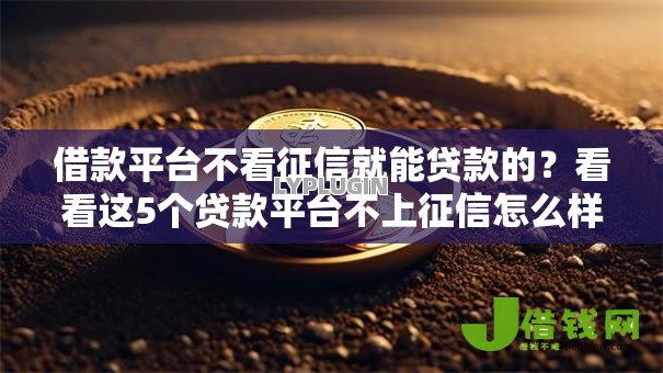 借款平台不看征信就能贷款的？看看这5个贷款平台不上征信怎么样