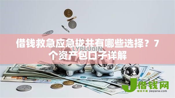 借钱救急应急拢共有哪些选择?7个资产包口子详解 借钱救急应急拢共有哪些选择?7个资产包口子详解