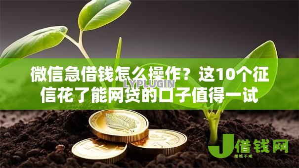 微信急借钱怎么操作?这10个征信花了能网贷的口子值得一试 微信急借钱怎么操作?这10个征信花了能网贷的口子值得一试