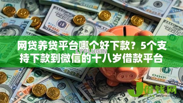 网贷养贷平台哪个好下款?5个支持下款到微信的十八岁借款平台秒过的软件 网贷养贷平台哪个好下款?5个支持下款到微信的十八岁借款平台秒过的软件
