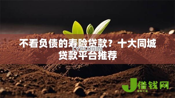 不看负债的寿险贷款?十大同城贷款平台推荐 不看负债的寿险贷款?十大同城贷款平台推荐