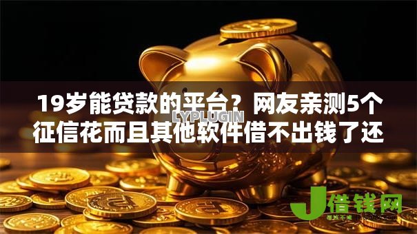 19岁能贷款的平台？网友亲测5个征信花而且其他软件借不出钱了还可以借到钱100%通过的平台盘点