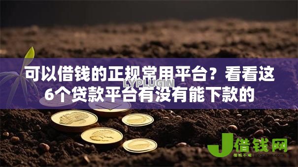 可以借钱的正规常用平台?看看这6个贷款平台有没有能下款的 可以借钱的正规常用平台?看看这6个贷款平台有没有能下款的
