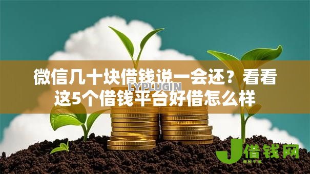 微信几十块借钱说一会还？看看这5个借钱平台好借怎么样