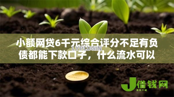 小额网贷6千元综合评分不足有负债都能下款口子，什么流水可以贷款的6个平台介绍