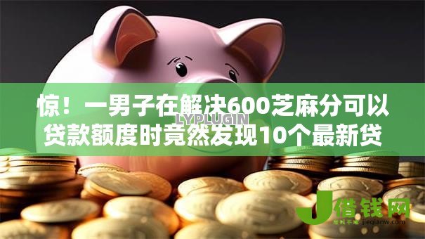 惊！一男子在解决600芝麻分可以贷款额度时竟然发现10个最新贷款软件，事后分享了出来