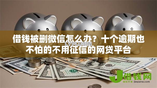借钱被删微信怎么办？十个逾期也不怕的不用征信的网贷平台