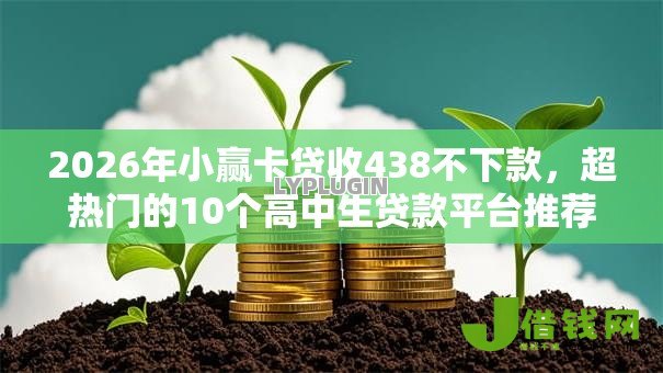 2026年小赢卡贷收438不下款,超热门的10个高中生贷款平台推荐 2026年小赢卡贷收438不下款,超热门的10个高中生贷款平台推荐