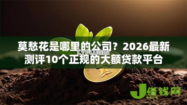 莫愁花是哪里的公司?2026最新测评10个正规的大额贷款平台 莫愁花是哪里的公司?2026最新测评10个正规的大额贷款平台
