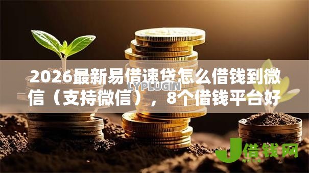 2026最新易借速贷怎么借钱到微信（支持微信），8个借钱平台好通过无私分享