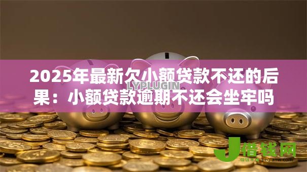 2025年最新欠小额贷款不还的后果:小额贷款逾期不还会坐牢吗 2025年最新欠小额贷款不还的后果:小额贷款逾期不还会坐牢吗
