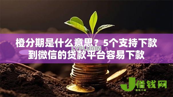 橙分期是什么意思?5个支持下款到微信的贷款平台容易下款 橙分期是什么意思?5个支持下款到微信的贷款平台容易下款