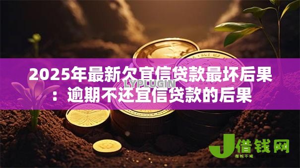 2025年最新欠宜信贷款最坏后果：逾期不还宜信贷款的后果