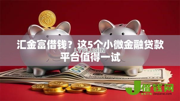 汇金富借钱?这5个小微金融贷款平台值得一试 汇金富借钱?这5个小微金融贷款平台值得一试