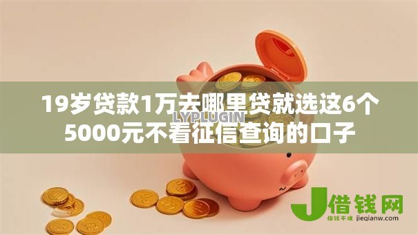 19岁贷款1万去哪里贷就选这6个5000元不看征信查询的口子 19岁贷款1万去哪里贷就选这6个5000元不看征信查询的口子
