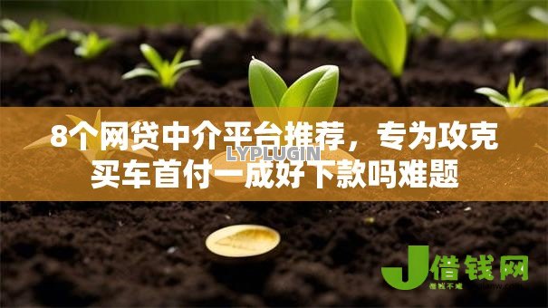 8个网贷中介平台推荐,专为攻克买车首付一成好下款吗难题 8个网贷中介平台推荐,专为攻克买车首付一成好下款吗难题