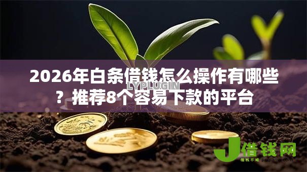 2026年白条借钱怎么操作有哪些?推荐8个容易下款的平台 2026年白条借钱怎么操作有哪些?推荐8个容易下款的平台