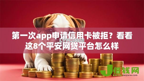 第一次app申请信用卡被拒？看看这8个平安网贷平台怎么样