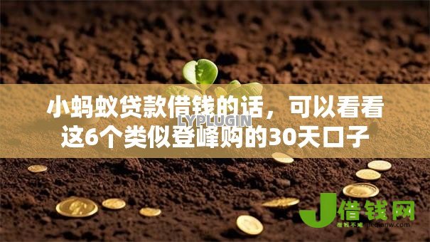 小蚂蚁贷款借钱的话，可以看看这6个类似登峰购的30天口子
