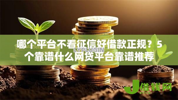 哪个平台不看征信好借款正规?5个靠谱什么网贷平台靠谱推荐 哪个平台不看征信好借款正规?5个靠谱什么网贷平台靠谱推荐