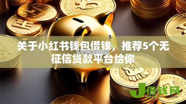 关于小红书钱包借钱，推荐5个无征信贷款平台给你