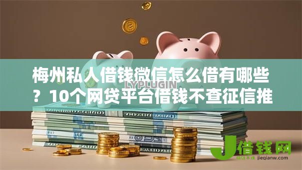 梅州私人借钱微信怎么借有哪些？10个网贷平台借钱不查征信推荐给你