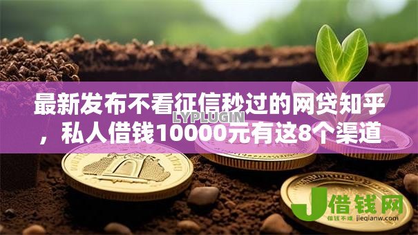 最新发布不看征信秒过的网贷知乎，私人借钱10000元有这8个渠道