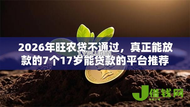 2026年旺农贷不通过，真正能放款的7个17岁能贷款的平台推荐