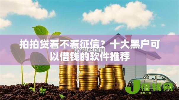 拍拍贷看不看征信?十大黑户可以借钱的软件推荐 拍拍贷看不看征信?十大黑户可以借钱的软件推荐
