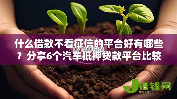 什么借款不看征信的平台好有哪些?分享6个汽车抵押贷款平台比较好 什么借款不看征信的平台好有哪些?分享6个汽车抵押贷款平台比较好