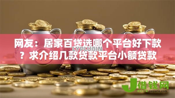 网友：居家百贷选哪个平台好下款？求介绍几款贷款平台小额贷款