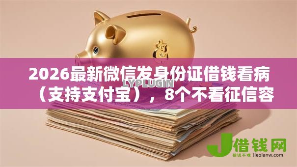 2026最新微信发身份证借钱看病（支持支付宝），8个不看征信容易下款的口子无私分享