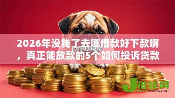 2026年没钱了去哪借款好下款啊，真正能放款的5个如何投诉贷款平台推荐