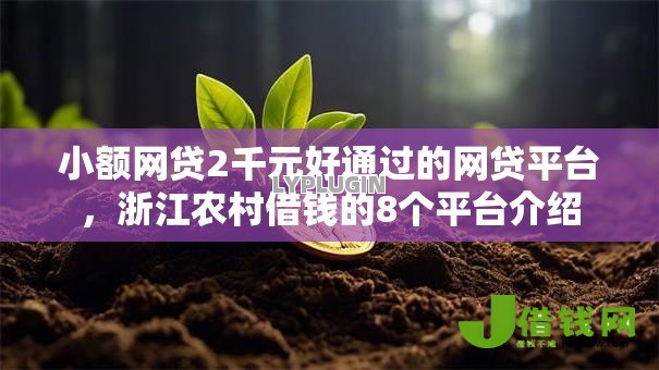 小额网贷2千元好通过的网贷平台，浙江农村借钱的8个平台介绍