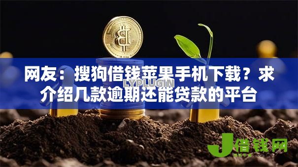 网友：搜狗借钱苹果手机下载？求介绍几款逾期还能贷款的平台