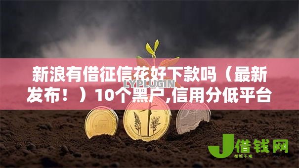 新浪有借征信花好下款吗(最新发布!)10个黑户,信用分低平台可以借钱 新浪有借征信花好下款吗(最新发布!)10个黑户,信用分低平台可以借钱