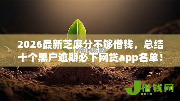 2026最新芝麻分不够借钱，总结十个黑户逾期必下网贷app名单！