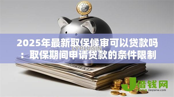 2025年最新取保候审可以贷款吗:取保期间申请贷款的条件限制 2025年最新取保候审可以贷款吗:取保期间申请贷款的条件限制