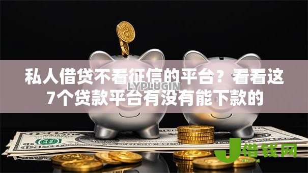 私人借贷不看征信的平台？看看这7个贷款平台有没有能下款的