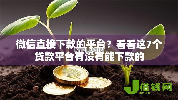 微信直接下款的平台?看看这7个贷款平台有没有能下款的 微信直接下款的平台?看看这7个贷款平台有没有能下款的