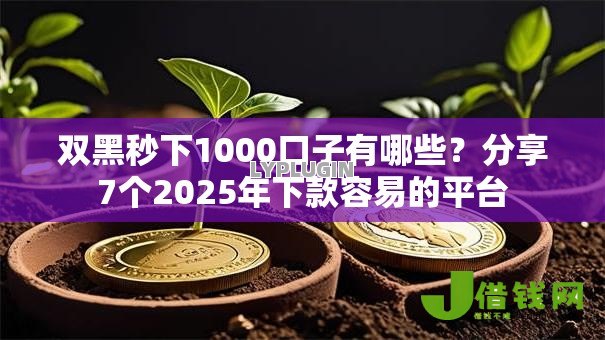 双黑秒下1000口子有哪些?分享7个2025年下款容易的平台 双黑秒下1000口子有哪些?分享7个2025年下款容易的平台
