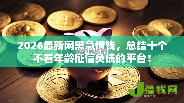 2026最新网黑急借钱,总结十个不看年龄征信负债的平台! 2026最新网黑急借钱,总结十个不看年龄征信负债的平台!