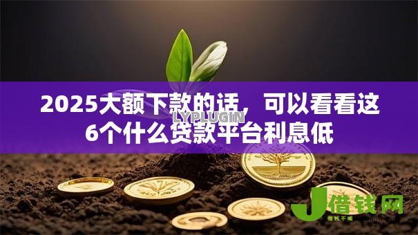 2025大额下款的话,可以看看这6个什么贷款平台利息低 2025大额下款的话,可以看看这6个什么贷款平台利息低