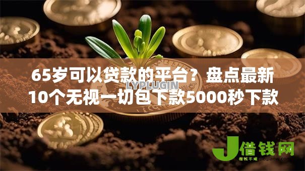 65岁可以贷款的平台?盘点最新10个无视一切包下款5000秒下款的app 65岁可以贷款的平台?盘点最新10个无视一切包下款5000秒下款的app