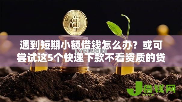 遇到短期小额借钱怎么办？或可尝试这5个快速下款不看资质的贷款平台平台
